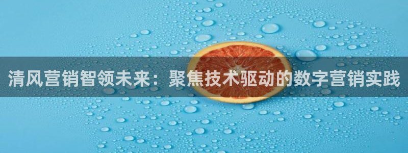 金年会体育app下载官网苹果