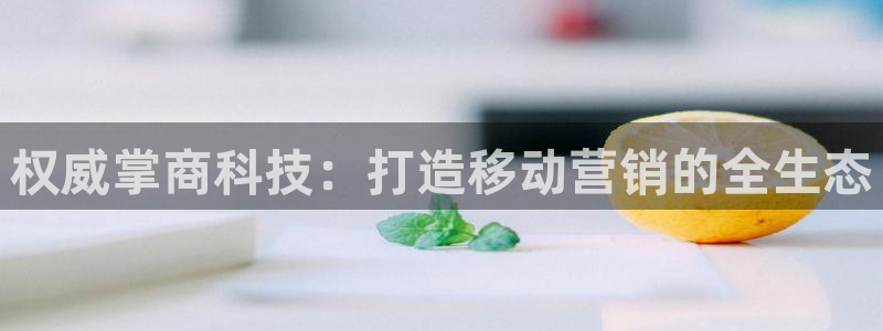 今年会金年会
