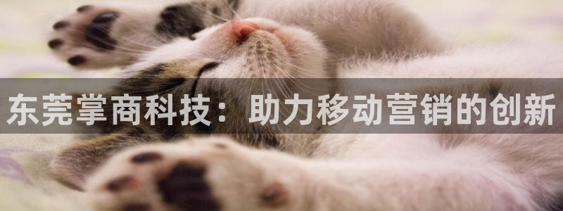 金年会体育黑吗