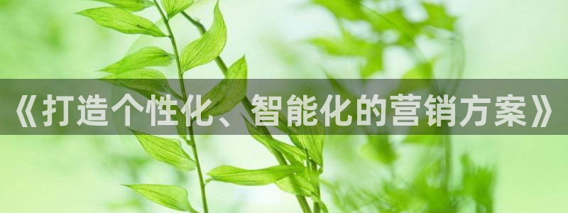 金年会体育一直输
