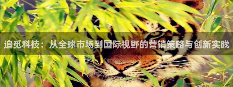 金年会金字招牌网址
