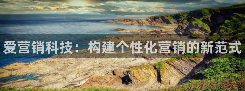 金年会平台是黑网还是白网