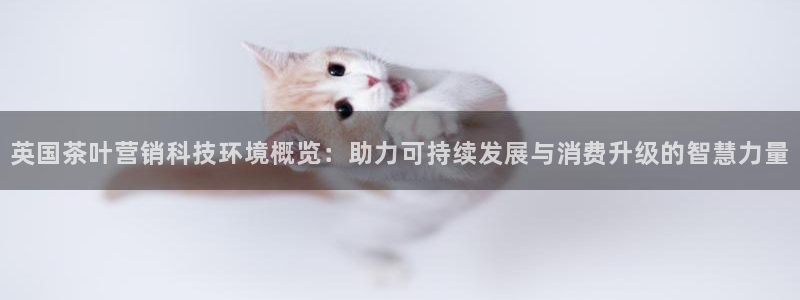 金年会体育综合App
