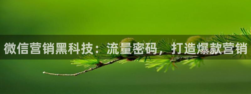 金年会体育官方app下载