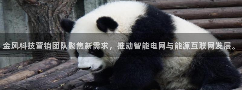 金年会体育电脑客户端登录