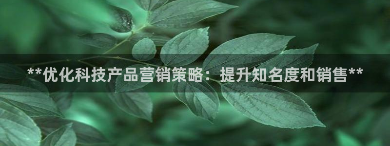金年会vip网页版在线登录入口下载