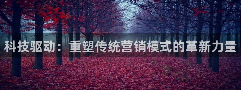 金年会官方网站入口登录手机版下载