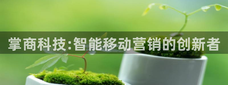 金年会体育网址登录