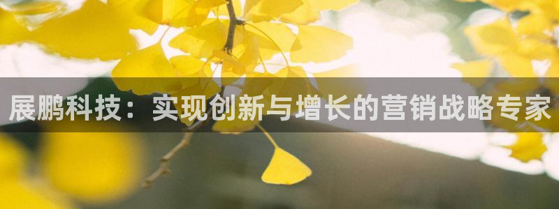 金年会官方网站登录网址是多少