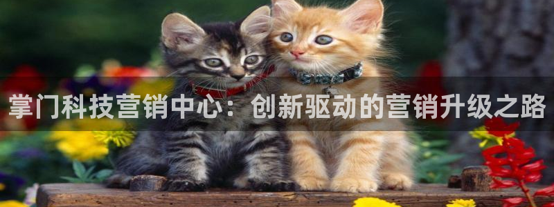 金年会vip网页版在线登录入口官网