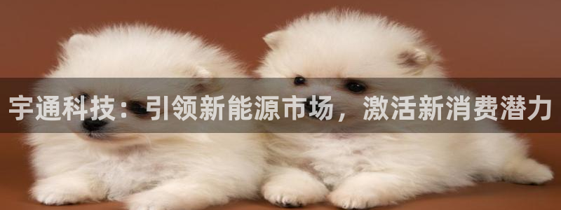 金年会官方网站入口登录