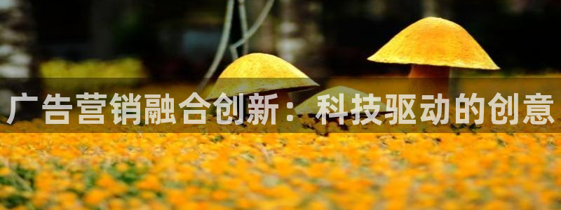 金年会官方网站入口登录网址是什么