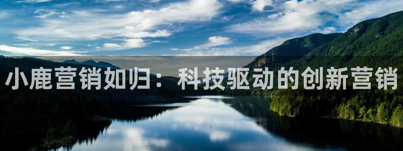 金年会vip网页版在线登录入口官网