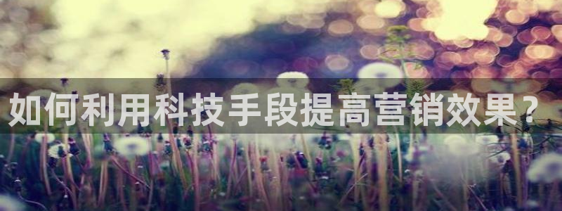 金年会网登录平台入口