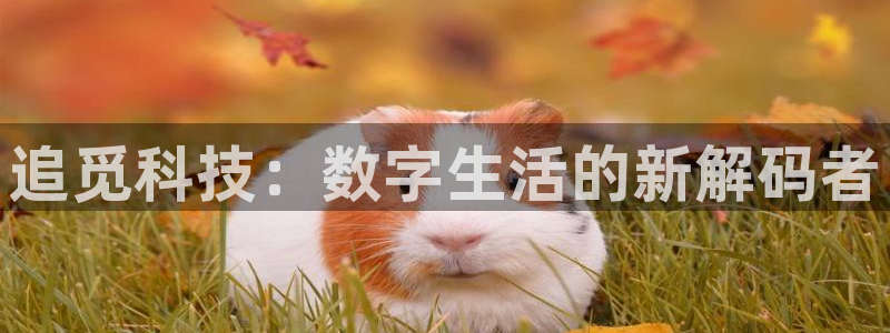 金年会app官网登录