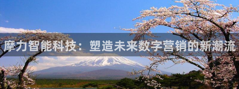 金年会官方在线登录