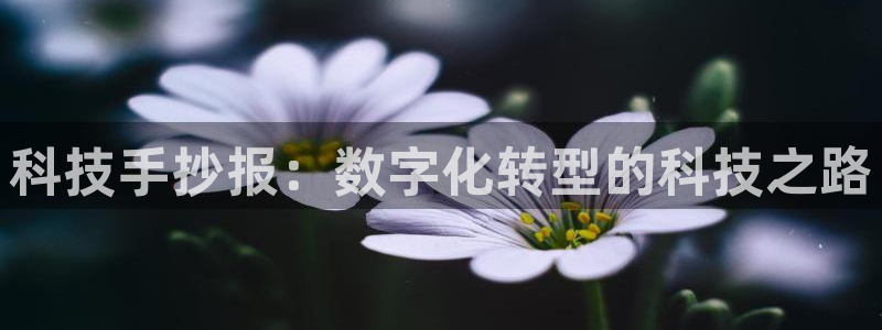 金年会体育平台登录