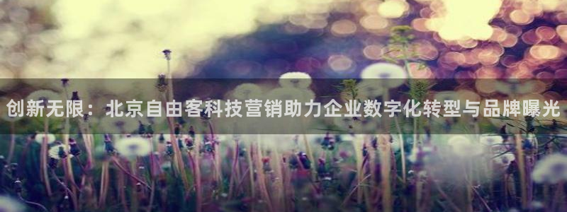 金年会网登录平台入口金年会