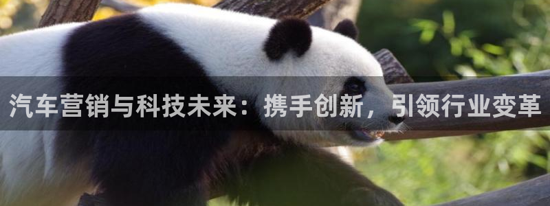 金年会官方网址登录入口