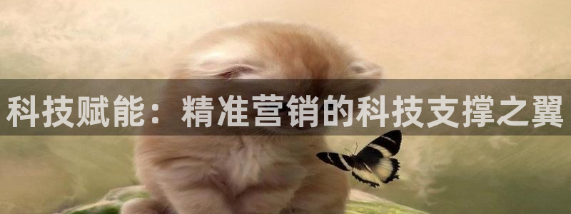 金年会网页版在线登录官网下载