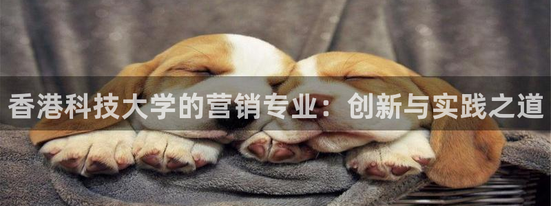 金年会网登录平台入口