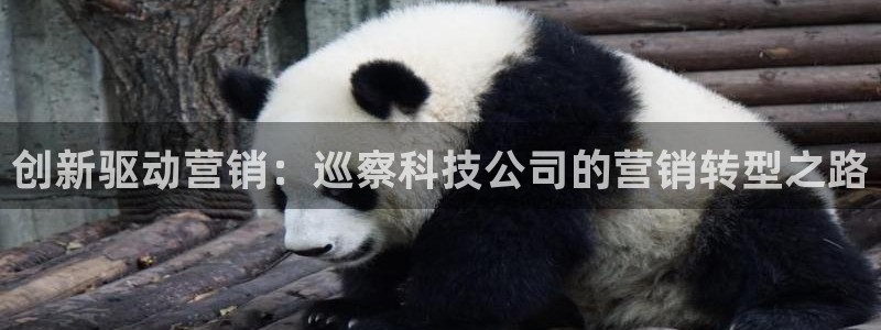 金年会体育app最新下载