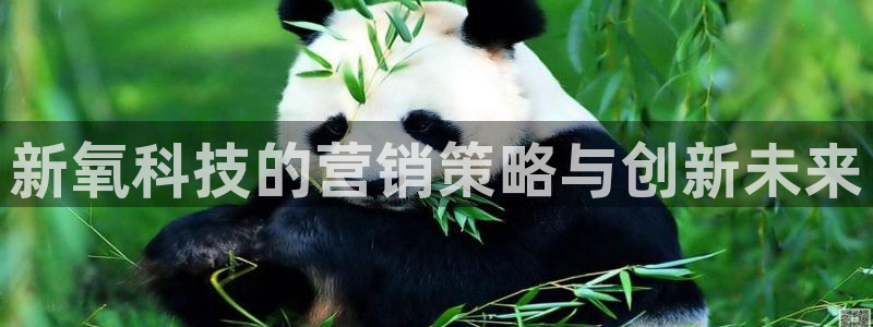 金年会体育买球