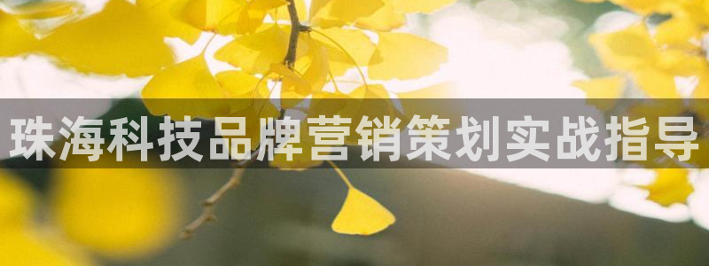 金年会体育jinnianvip