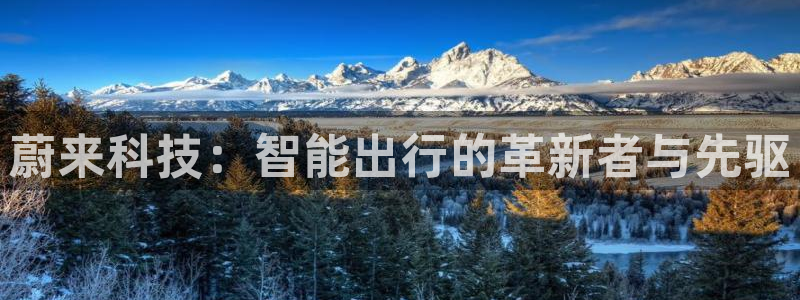 金年会体育电脑客户端登录