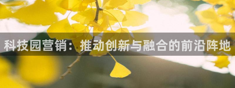 金年会网站拒绝出款怎么办?