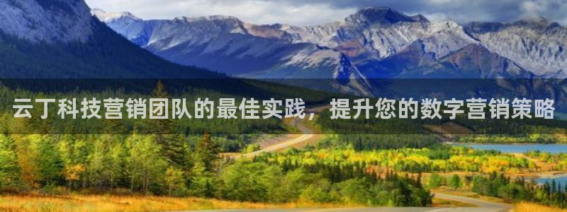 金年会网站事件后果