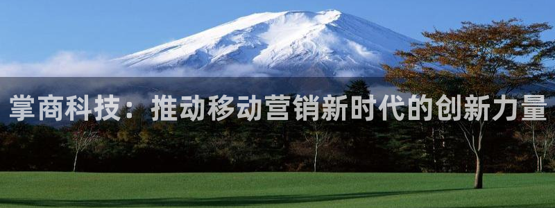 金年会官方网址查询