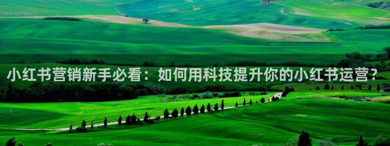 金年会体育平台怎么样